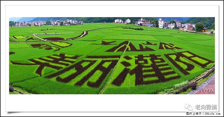 【春天，广西桂林灌阳县向您发出邀请！】开篇 - 游山玩水 - 荆州生活社区 - 荆州28生活网 jingzhou.28life.com