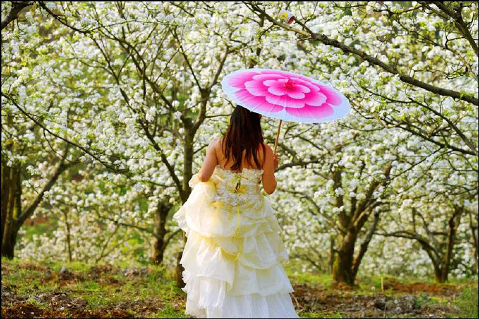 【春天，广西桂林灌阳县向您发出邀请！】我们在灌阳看梨花 - 游山玩水 - 荆州生活社区 - 荆州28生活网 jingzhou.28life.com