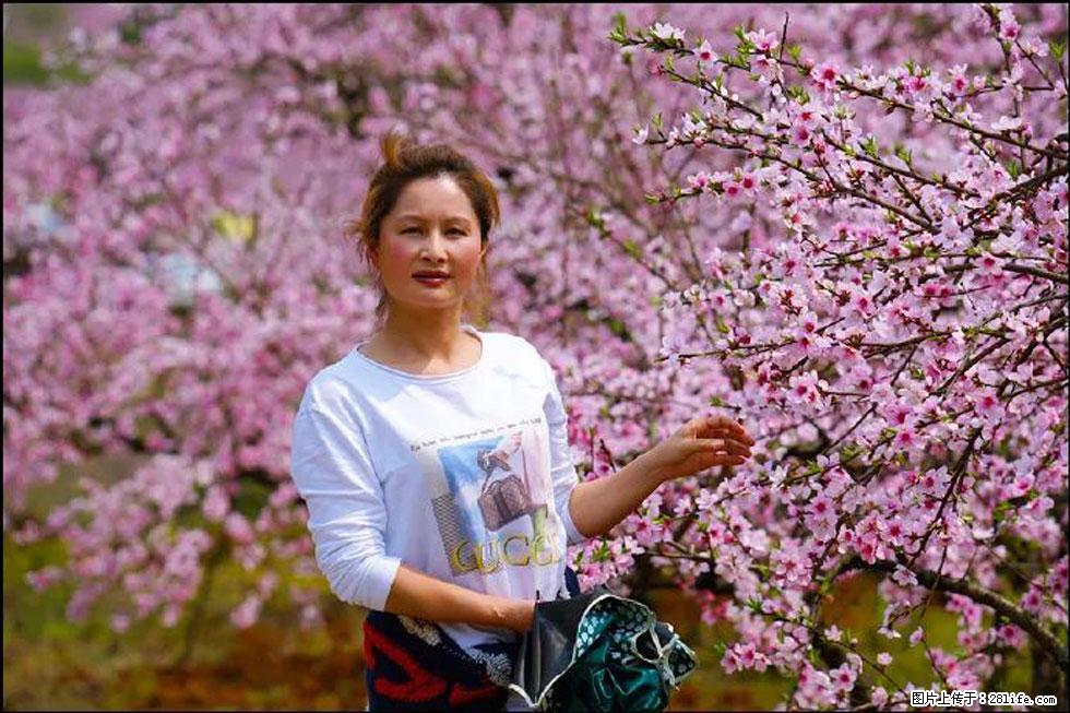 【春天，广西桂林灌阳县向您发出邀请！】官庄村有个醉美的桃花园 - 游山玩水 - 荆州生活社区 - 荆州28生活网 jingzhou.28life.com