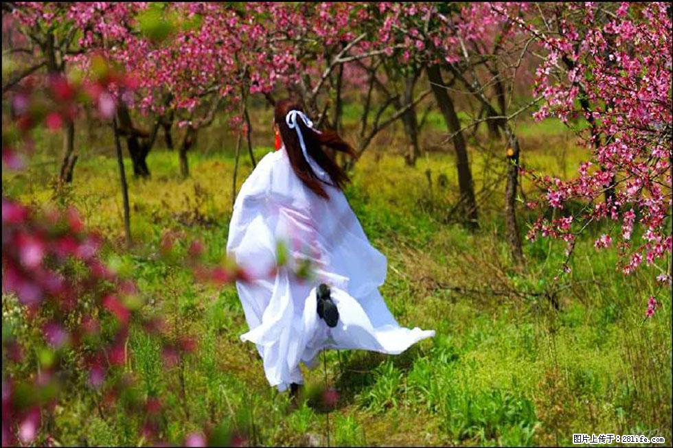 【春天，广西桂林灌阳县向您发出邀请！】官庄村有个醉美的桃花园 - 游山玩水 - 荆州生活社区 - 荆州28生活网 jingzhou.28life.com