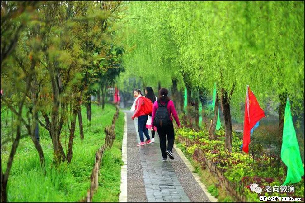 【春天，广西桂林灌阳县向您发出邀请！】江口老街又逢春 - 游山玩水 - 荆州生活社区 - 荆州28生活网 jingzhou.28life.com