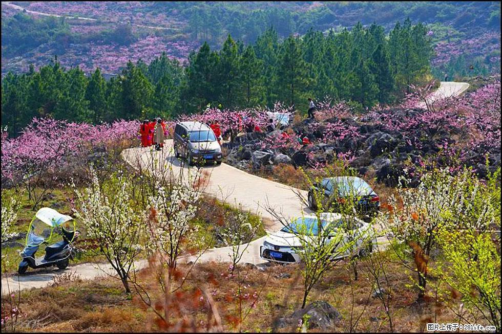 【春天，广西桂林灌阳县向您发出邀请！】望月岭上桃花开 - 游山玩水 - 荆州生活社区 - 荆州28生活网 jingzhou.28life.com