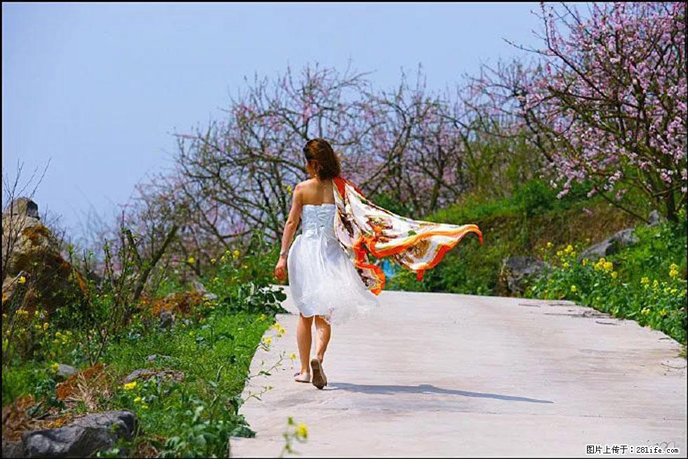 【春天，广西桂林灌阳县向您发出邀请！】望月岭上桃花开 - 游山玩水 - 荆州生活社区 - 荆州28生活网 jingzhou.28life.com