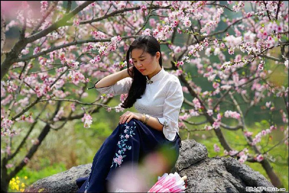 【春天，广西桂林灌阳县向您发出邀请！】望月岭上桃花开 - 游山玩水 - 荆州生活社区 - 荆州28生活网 jingzhou.28life.com