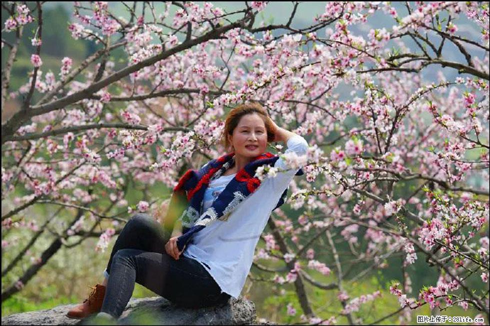 【春天，广西桂林灌阳县向您发出邀请！】望月岭上桃花开 - 游山玩水 - 荆州生活社区 - 荆州28生活网 jingzhou.28life.com