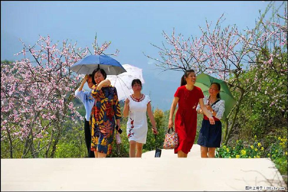 【春天，广西桂林灌阳县向您发出邀请！】望月岭上桃花开 - 游山玩水 - 荆州生活社区 - 荆州28生活网 jingzhou.28life.com