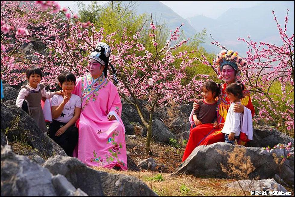 【春天，广西桂林灌阳县向您发出邀请！】望月岭上桃花开 - 游山玩水 - 荆州生活社区 - 荆州28生活网 jingzhou.28life.com