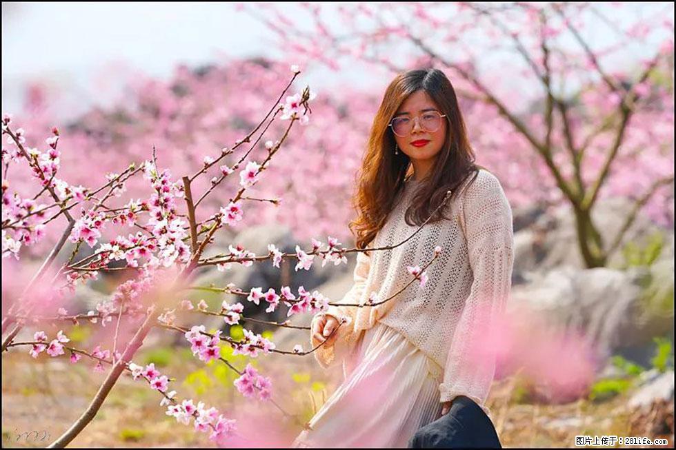 【春天，广西桂林灌阳县向您发出邀请！】望月岭上桃花开 - 游山玩水 - 荆州生活社区 - 荆州28生活网 jingzhou.28life.com