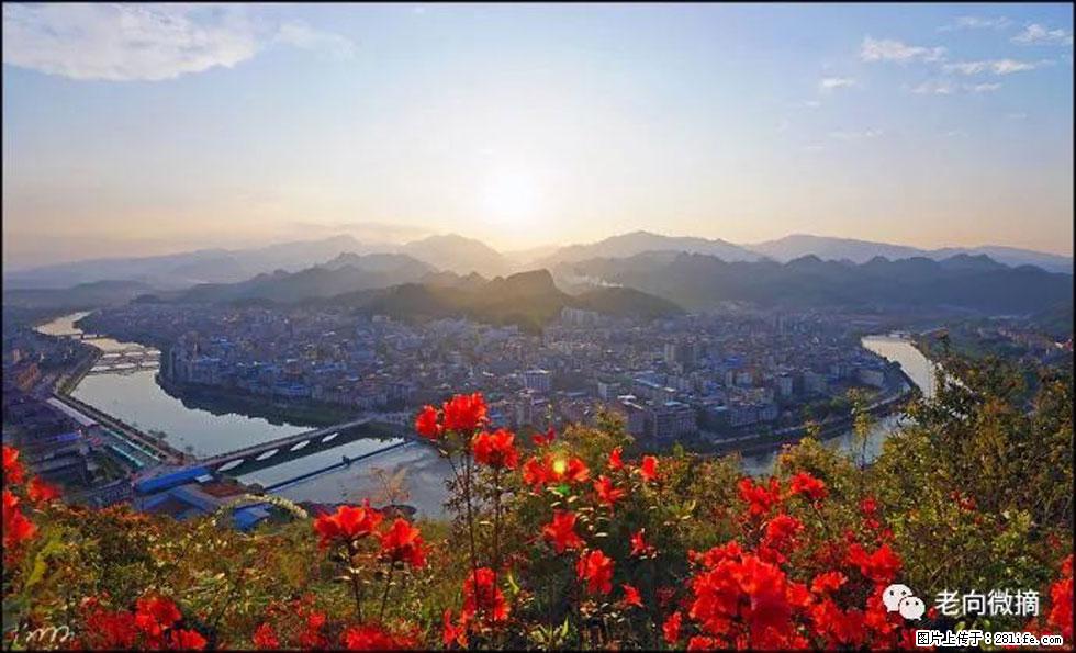 【春天，广西桂林灌阳县向您发出邀请！】登麒麟山，相约映山红 - 游山玩水 - 荆州生活社区 - 荆州28生活网 jingzhou.28life.com