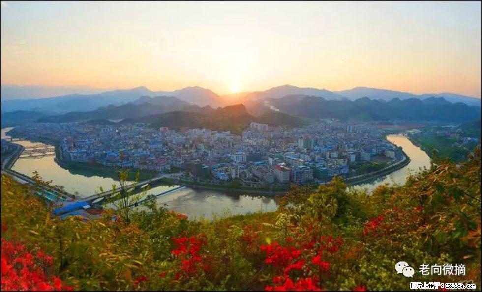 【春天，广西桂林灌阳县向您发出邀请！】登麒麟山，相约映山红 - 游山玩水 - 荆州生活社区 - 荆州28生活网 jingzhou.28life.com