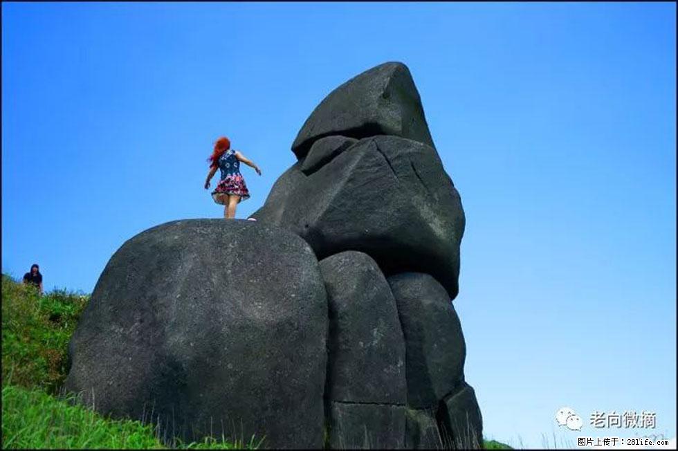 【春天，广西桂林灌阳县向您发出邀请！】宝盖山上映山红 - 游山玩水 - 荆州生活社区 - 荆州28生活网 jingzhou.28life.com