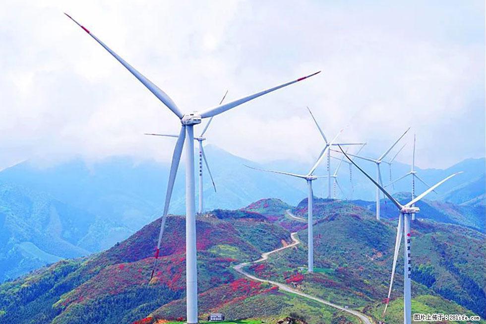 【春天，广西桂林灌阳县向您发出邀请！】春木界上映山红 - 游山玩水 - 荆州生活社区 - 荆州28生活网 jingzhou.28life.com