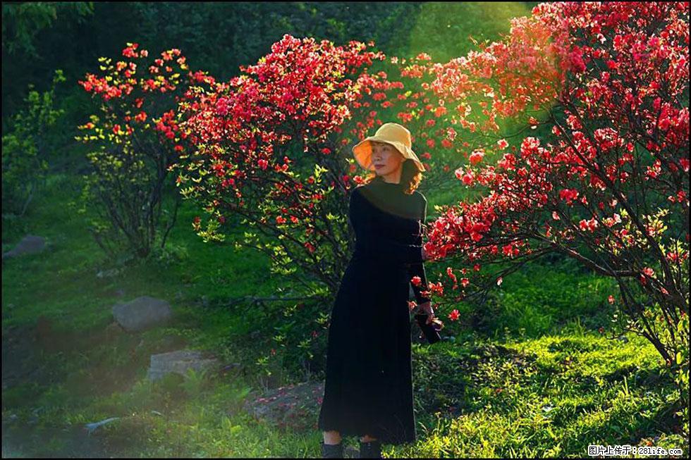 【春天，广西桂林灌阳县向您发出邀请！】春木界上映山红 - 游山玩水 - 荆州生活社区 - 荆州28生活网 jingzhou.28life.com