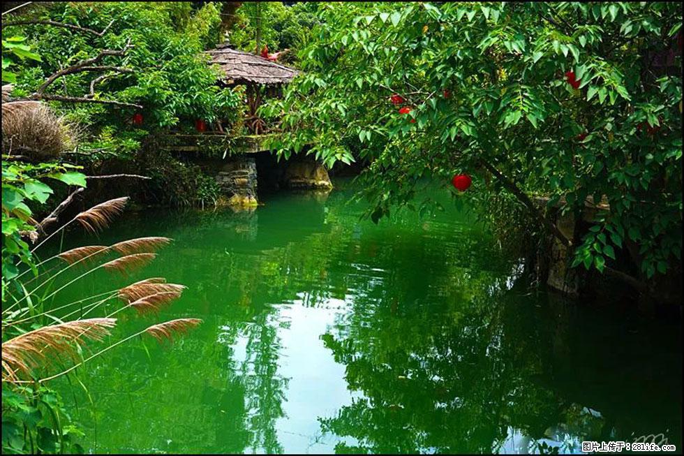 【春天，广西桂林灌阳县向您发出邀请！】如梦似幻莲溪庐 - 游山玩水 - 荆州生活社区 - 荆州28生活网 jingzhou.28life.com