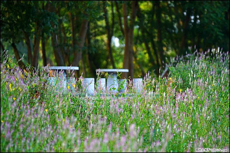 【春天，广西桂林灌阳县向您发出邀请！】熊家寨湿地公园 - 游山玩水 - 荆州生活社区 - 荆州28生活网 jingzhou.28life.com