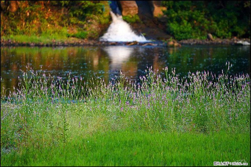 【春天，广西桂林灌阳县向您发出邀请！】熊家寨湿地公园 - 游山玩水 - 荆州生活社区 - 荆州28生活网 jingzhou.28life.com