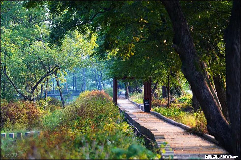 【春天，广西桂林灌阳县向您发出邀请！】熊家寨湿地公园 - 游山玩水 - 荆州生活社区 - 荆州28生活网 jingzhou.28life.com