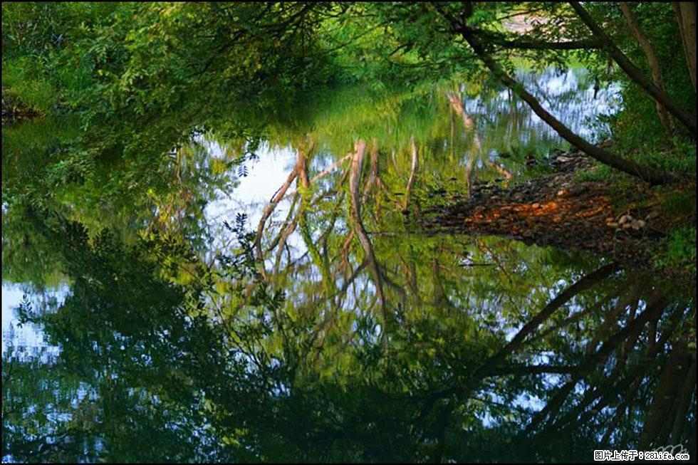 【春天，广西桂林灌阳县向您发出邀请！】熊家寨湿地公园 - 游山玩水 - 荆州生活社区 - 荆州28生活网 jingzhou.28life.com