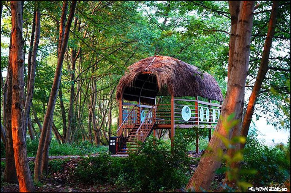 【春天，广西桂林灌阳县向您发出邀请！】熊家寨湿地公园 - 游山玩水 - 荆州生活社区 - 荆州28生活网 jingzhou.28life.com