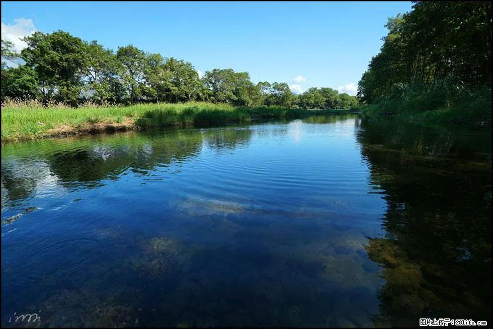 【春天，广西桂林灌阳县向您发出邀请！】熊家寨湿地公园 - 游山玩水 - 荆州生活社区 - 荆州28生活网 jingzhou.28life.com