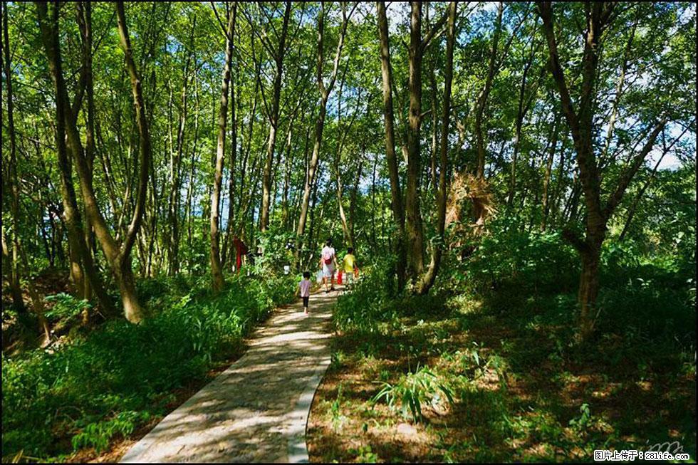 【春天，广西桂林灌阳县向您发出邀请！】熊家寨湿地公园 - 游山玩水 - 荆州生活社区 - 荆州28生活网 jingzhou.28life.com