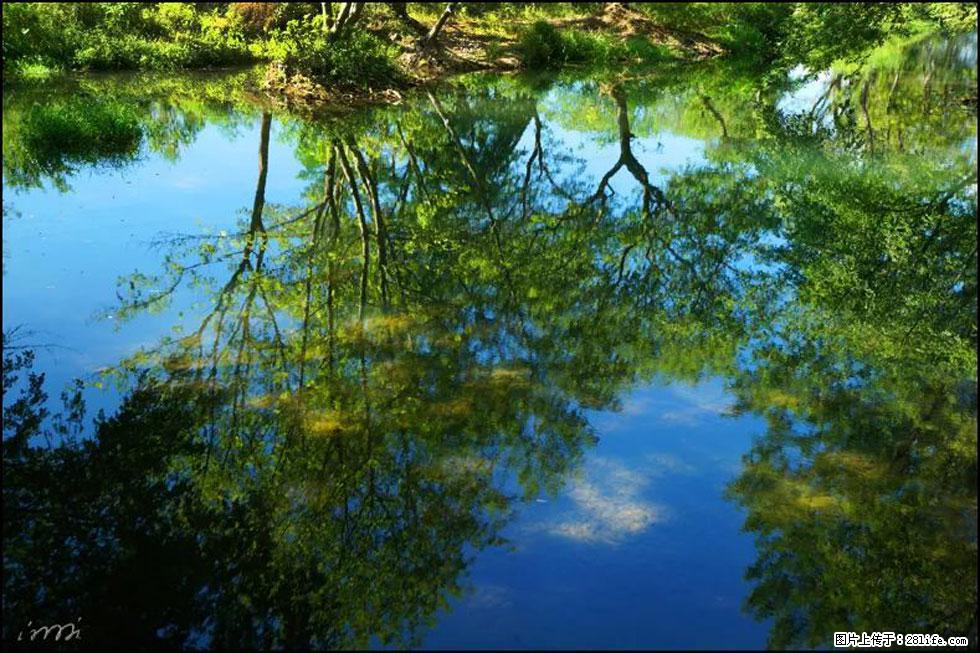 【春天，广西桂林灌阳县向您发出邀请！】熊家寨湿地公园 - 游山玩水 - 荆州生活社区 - 荆州28生活网 jingzhou.28life.com