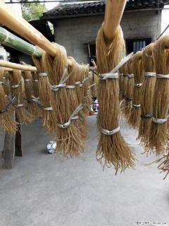 【灌阳正宗红薯粉】美女家里自己做的，干净卫生，假一赔十，价格合理，抢购电话：13737312895 - 荆州28生活网 jingzhou.28life.com