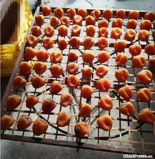 广西桂林平乐桥亭【柿饼之乡】2025年纯手工制作、无任何添加剂的第一批柿饼准备上市了，欢迎联系订购！ - 荆州28生活网 jingzhou.28life.com