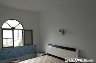 洪家垸 小区 精装两房一厅 出租 - 荆州28生活网 jingzhou.28life.com