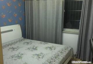 朝阳杨林提路精装婚房出租 - 荆州28生活网 jingzhou.28life.com