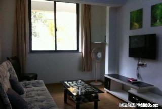 沙市江津路大润发旁中央华府精装一室一厅，家电齐全，拎包入住 - 荆州28生活网 jingzhou.28life.com