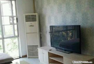 沙北新区 楚天都市朗园 精装2室2厅1卫 带家具家电 - 荆州28生活网 jingzhou.28life.com