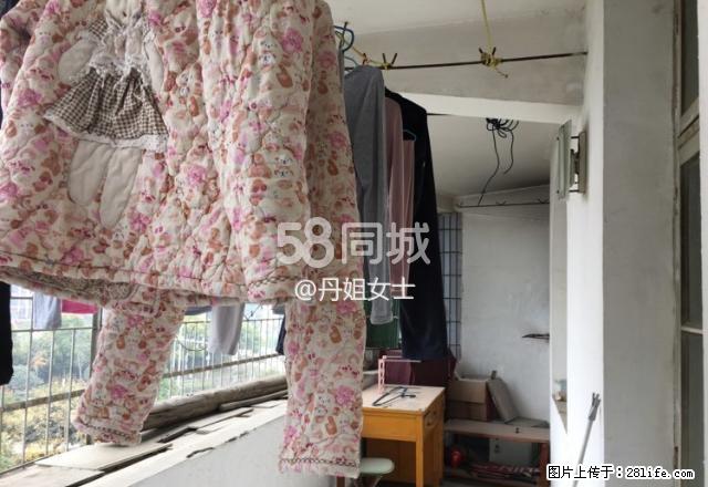 东岳小区 3室2厅1卫 - 房屋出租 - 房屋租售 - 荆州分类信息 - 荆州28生活网 jingzhou.28life.com