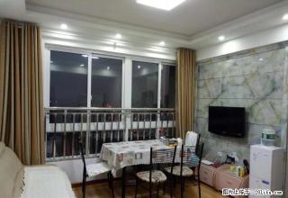 红门路红景嘉园电梯楼新装修一室一厅出租 - 荆州28生活网 jingzhou.28life.com