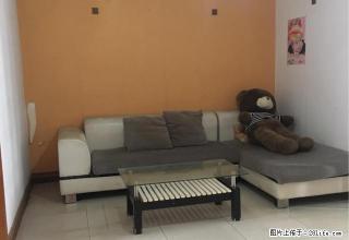 位于新天地附近沙市大学内，90平二房二厅一卫 - 荆州28生活网 jingzhou.28life.com