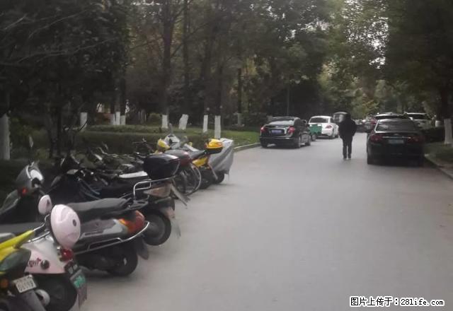 高端住宅小区美林湖畔电梯精致两房诚心出租 - 房屋出租 - 房屋租售 - 荆州分类信息 - 荆州28生活网 jingzhou.28life.com