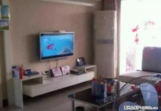 阳光青年城精装3房出租 - 荆州28生活网 jingzhou.28life.com