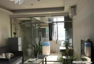 电梯小区房， 家具家电齐全，全新装修 - 荆州28生活网 jingzhou.28life.com