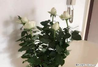 便利方便，荣鑫都市佳园单间出租 - 荆州28生活网 jingzhou.28life.com