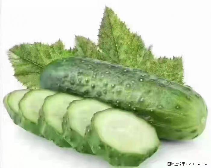 【生活小常识】吃黄瓜的好处 - 生活百科 - 荆州生活社区 - 荆州28生活网 jingzhou.28life.com