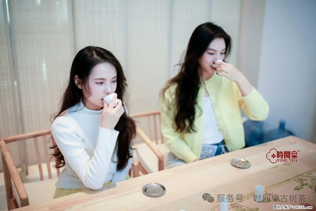 时间果百年古树龙珠普洱生茶 - 购物交流 - 荆州生活社区 - 荆州28生活网 jingzhou.28life.com