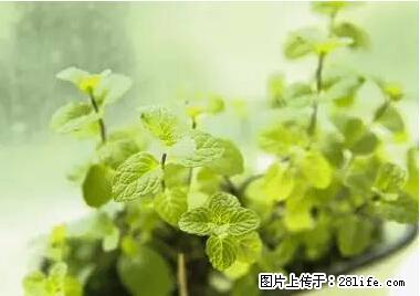 晕车、脚气、牙齿变黄、皮肤粗糙？学会这些三分钟搞定！ - 荆州生活资讯 - 荆州28生活网 jingzhou.28life.com