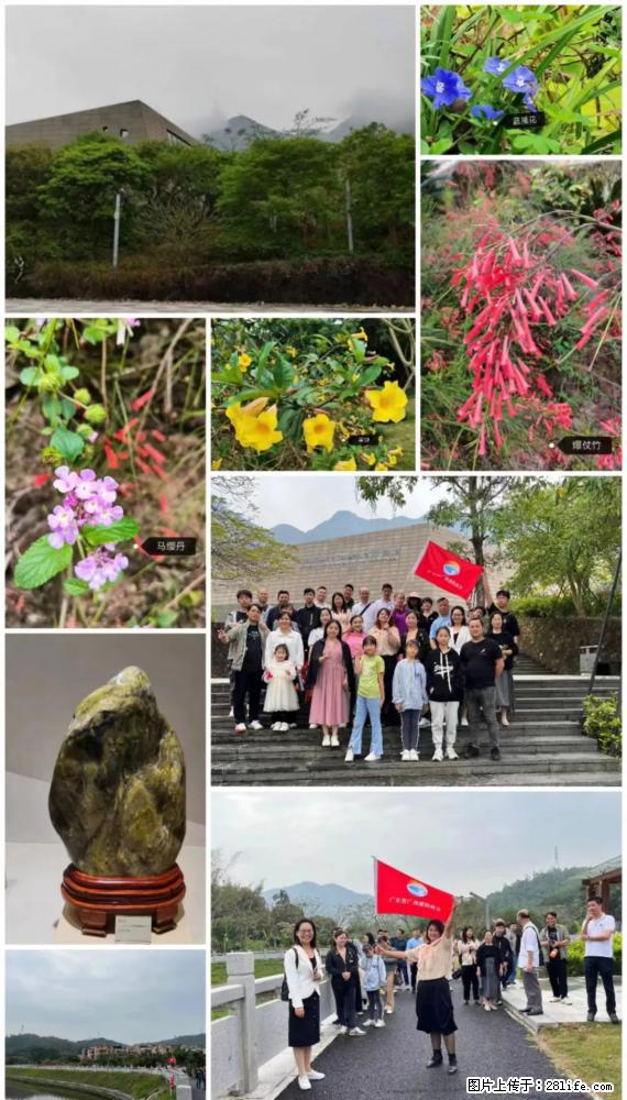 “粤灌文化 美好生活”油茶文化主题活动在广东深圳成功举办 - 荆州生活资讯 - 荆州28生活网 jingzhou.28life.com