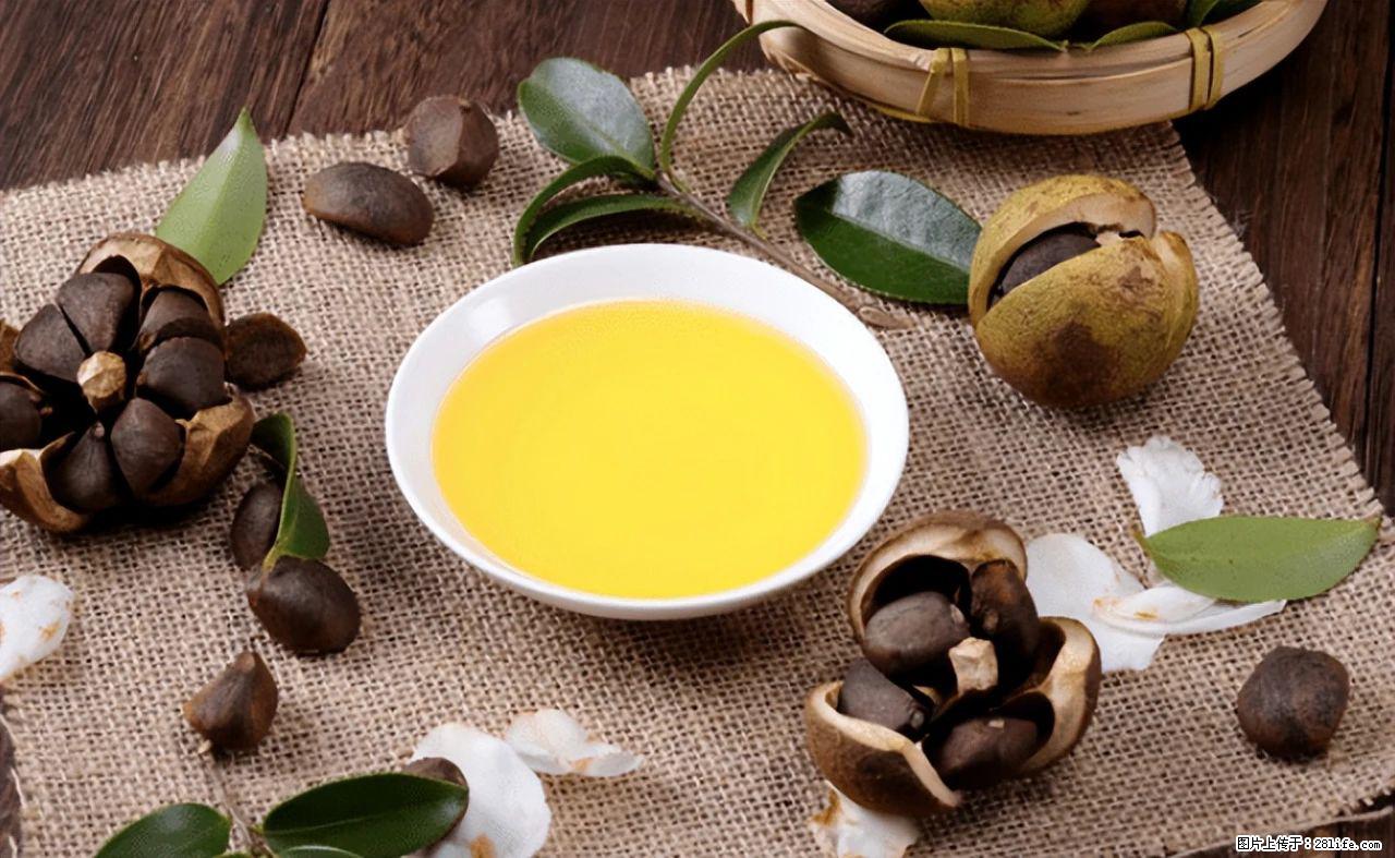 揭秘茶油的5大核心营养成分!被称为人体健康的“守护盾”! - 荆州生活资讯 - 荆州28生活网 jingzhou.28life.com