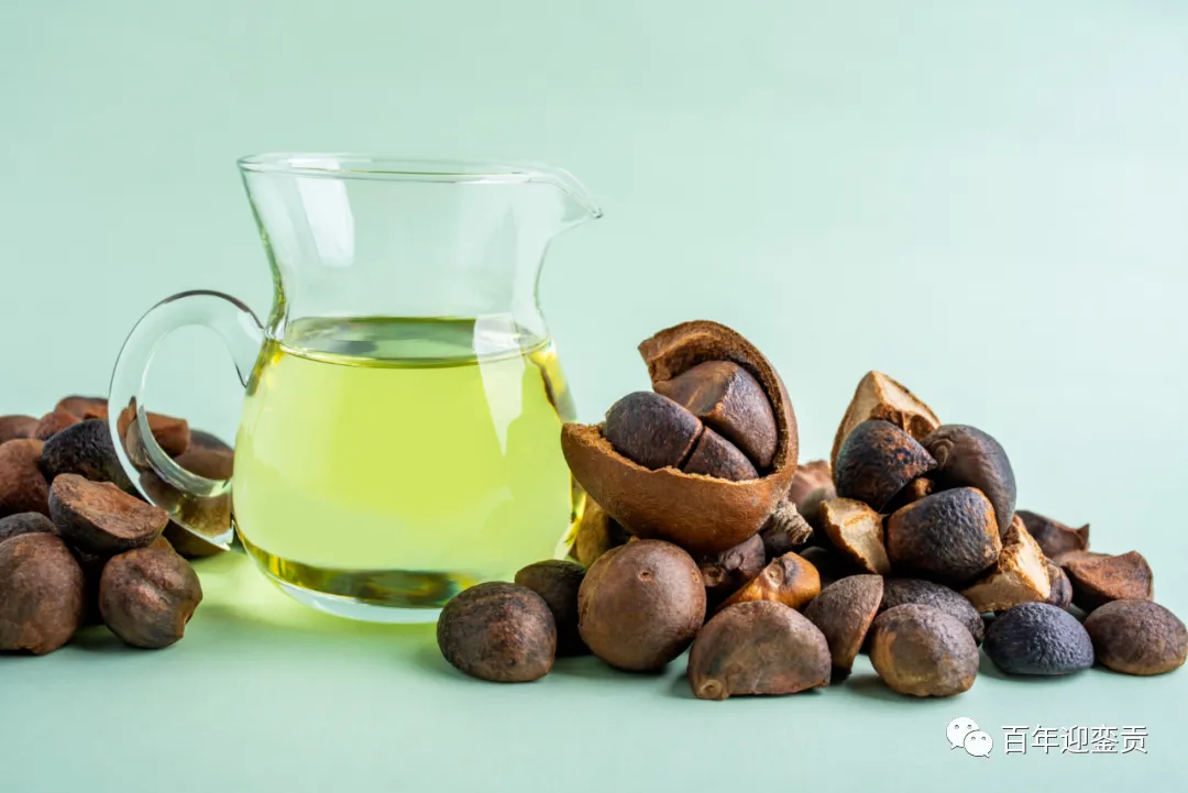 世界没有真相,只有认知,最好的食用油是中国的山茶油! - 荆州生活资讯 - 荆州28生活网 jingzhou.28life.com