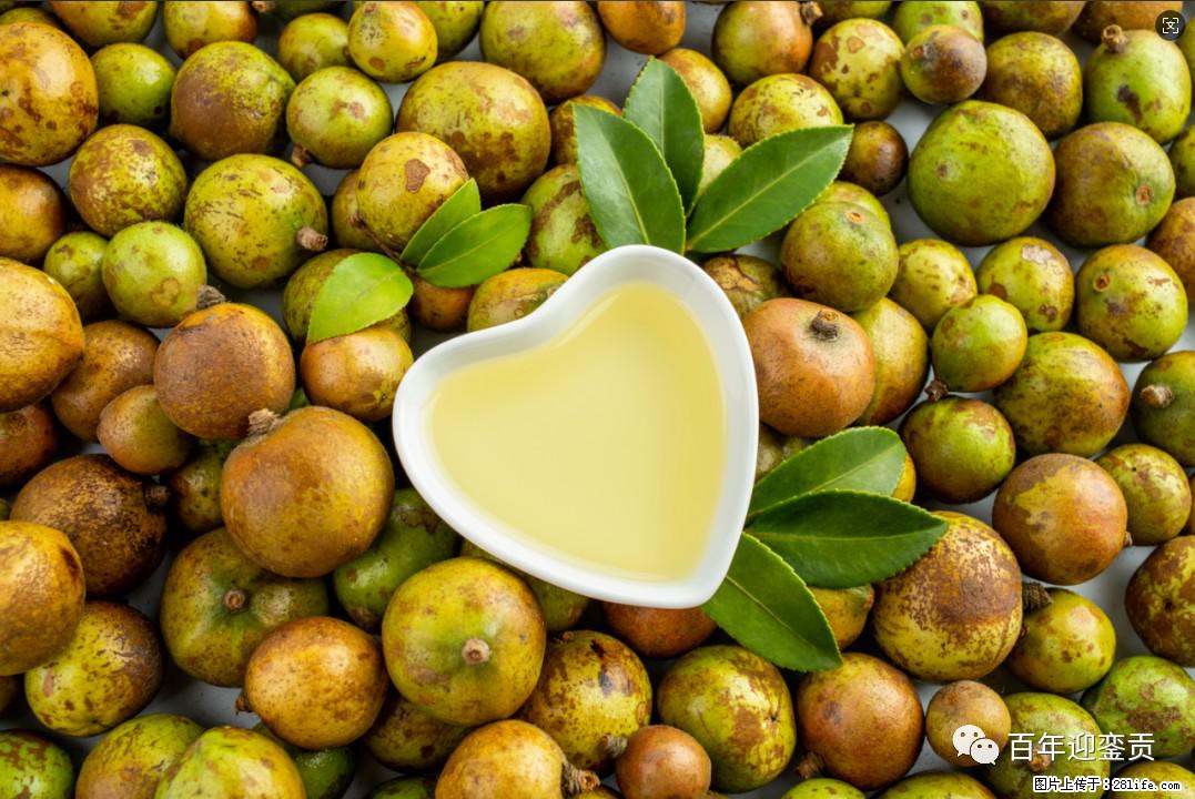 世界没有真相,只有认知,最好的食用油是中国的山茶油! - 荆州生活资讯 - 荆州28生活网 jingzhou.28life.com