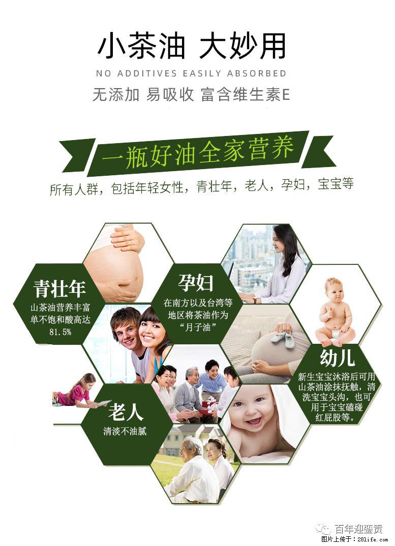 世界没有真相,只有认知,最好的食用油是中国的山茶油! - 荆州生活资讯 - 荆州28生活网 jingzhou.28life.com