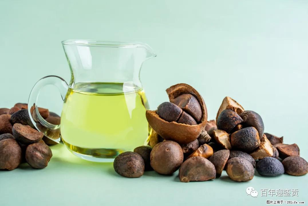 世界没有真相，只有认知，最好的食用油是中国的山茶油！ - 荆州生活资讯 - 荆州28生活网 jingzhou.28life.com