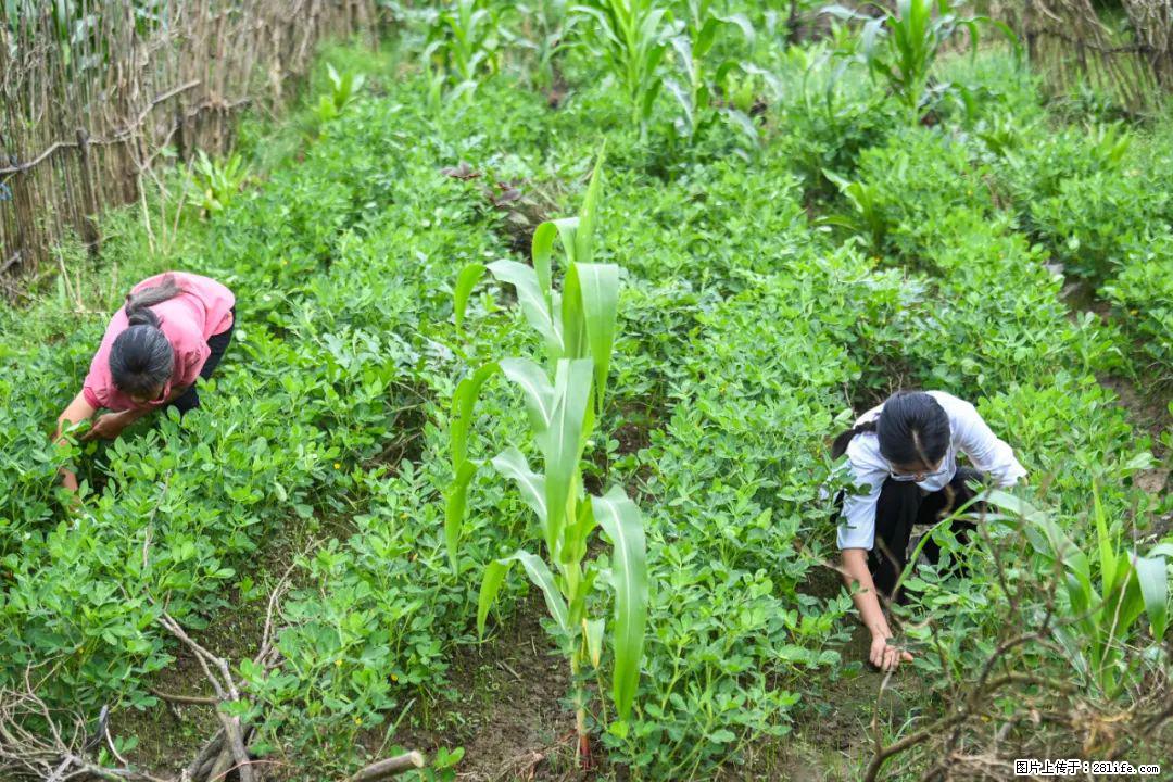 全网追的“扁担女孩”，找了一份暑假工，时薪12元 - 荆州生活资讯 - 荆州28生活网 jingzhou.28life.com