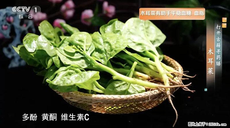 比牛奶补钙还厉害!凉血解毒、稳血糖...这菜冬天必吃,很多人却当草 - 荆州生活资讯 - 荆州28生活网 jingzhou.28life.com